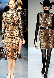 fall clothing animal prints