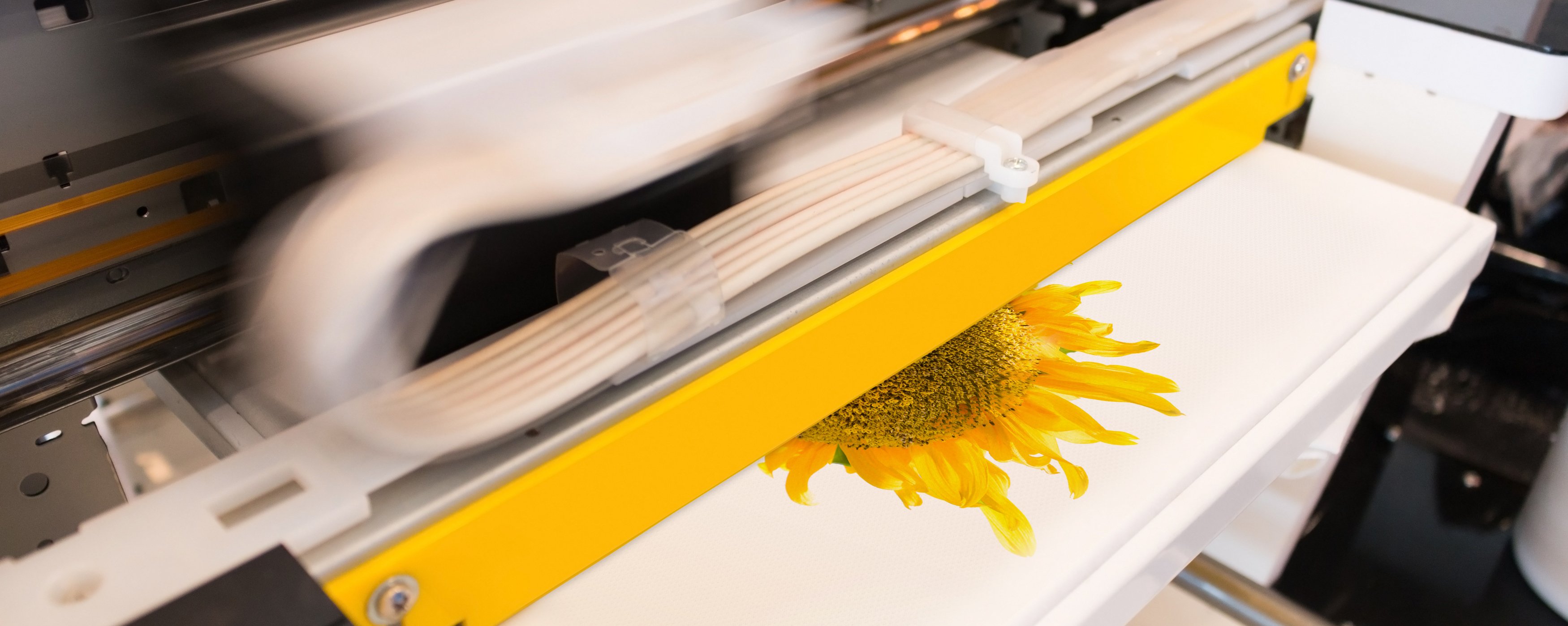 Fabrics_Digital_Printing_Sharprint_Chicago